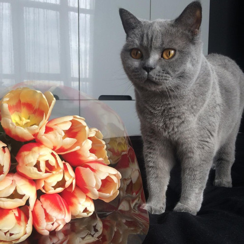 Галина Кравченко