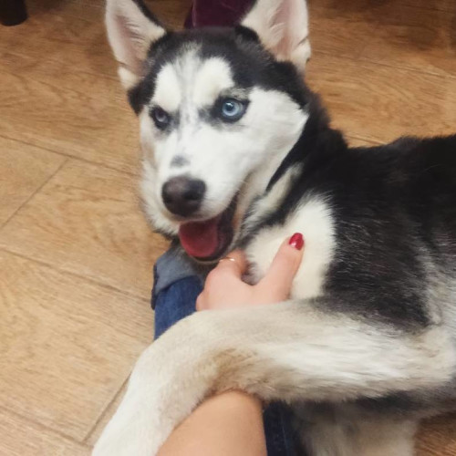 Раиса Федотовa