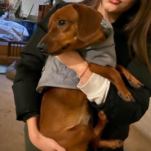 Алёна Фоминa