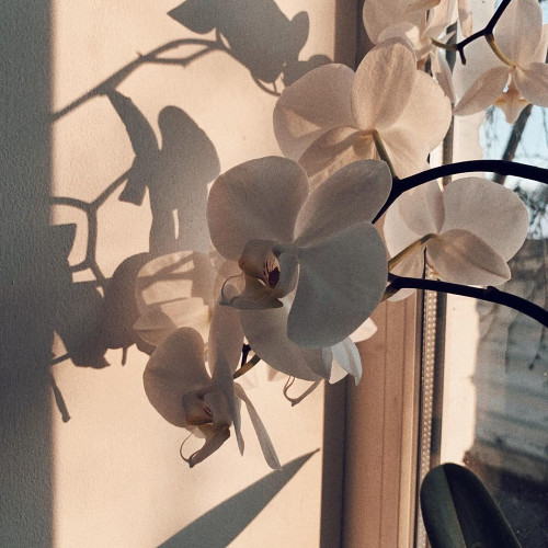 Ярослава Сергієнко