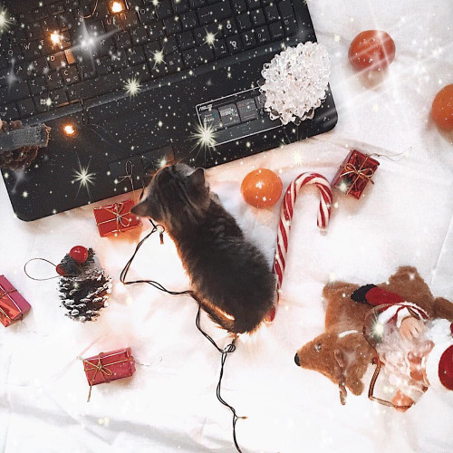 Василиса Ширяевa