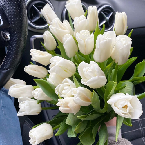 Наталья Ковалёвa