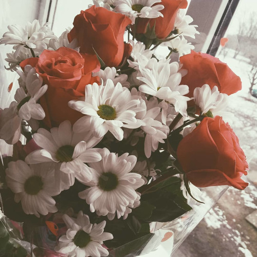 Ксения Ковалёвa