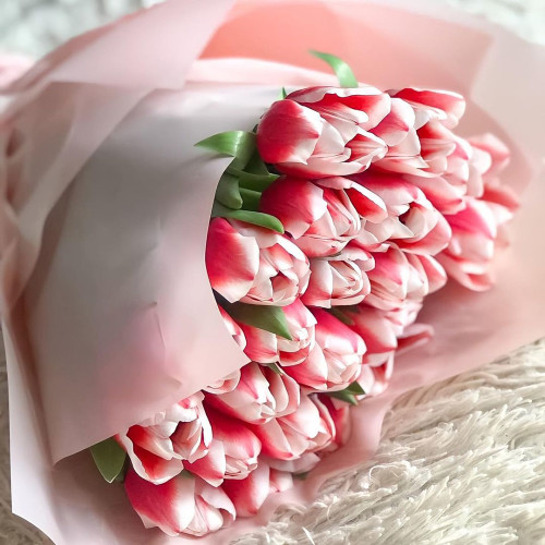 Александра Смирновa