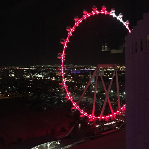 Дина Ситниковa