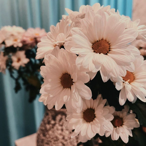 Эльвира Лукинa