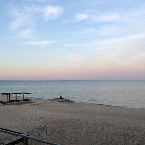 Анастасія Шевченко