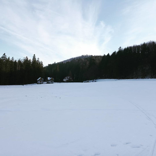 Федосья Поляковa