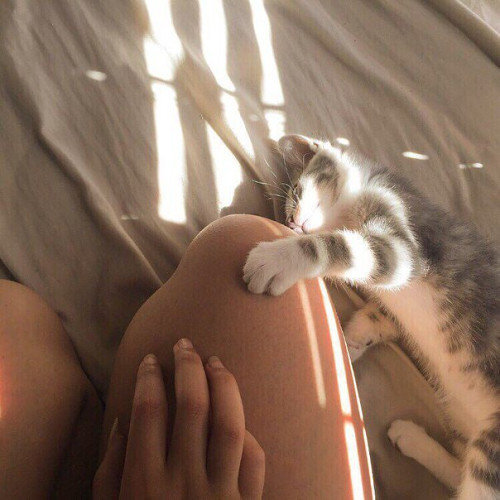 Екатерина Вишняковa