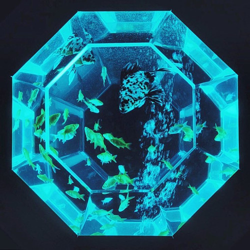 Елизавета Фадеевa