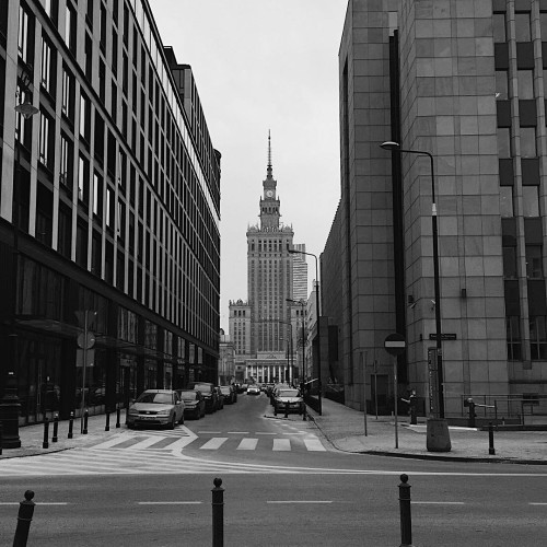 Євгенія Панасюк