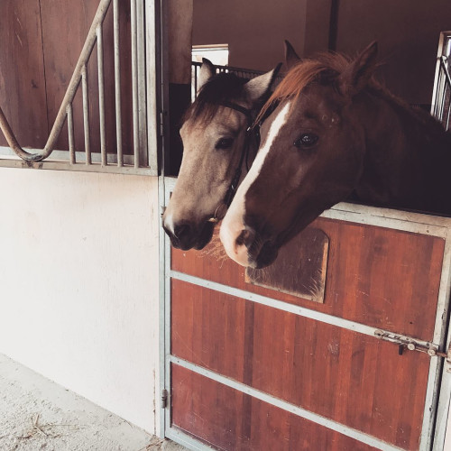 Лилия Журавлёвa