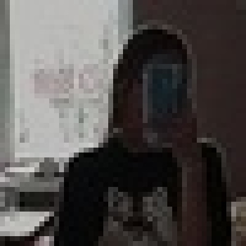 Полина Шевлякова