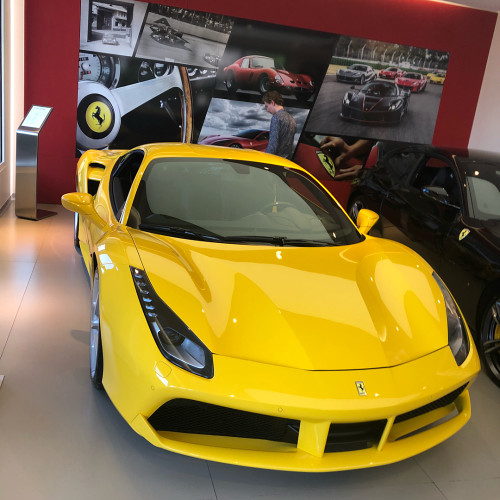 Алла Мясниковa