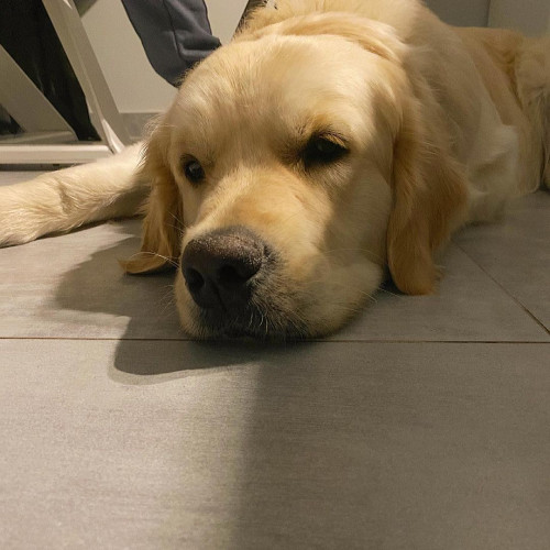 Фаина Евсеевa