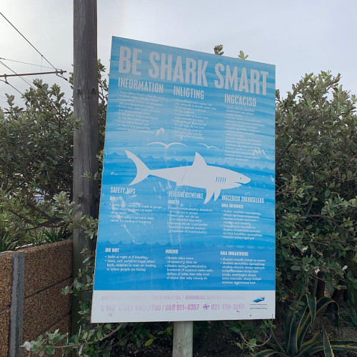 Ева Фадеевa