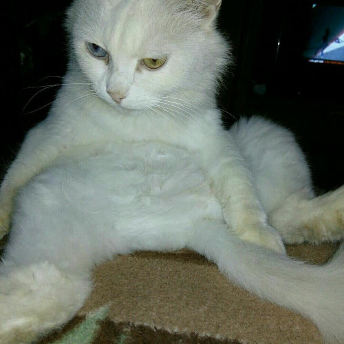 Анна Воробьёвa