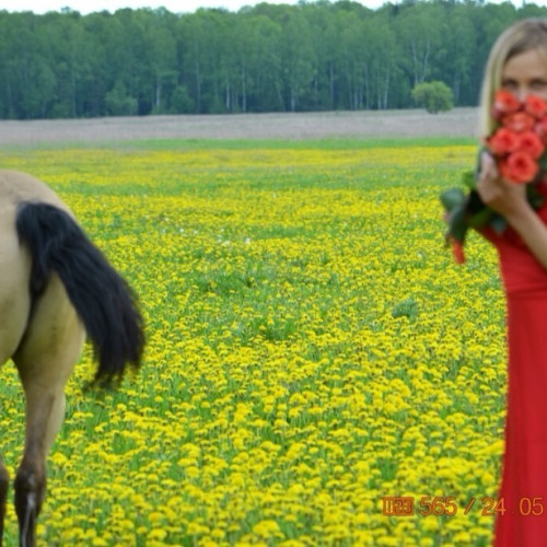 Анастасія Лисенко