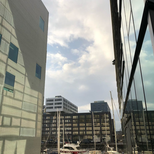 Полина Дроздовa