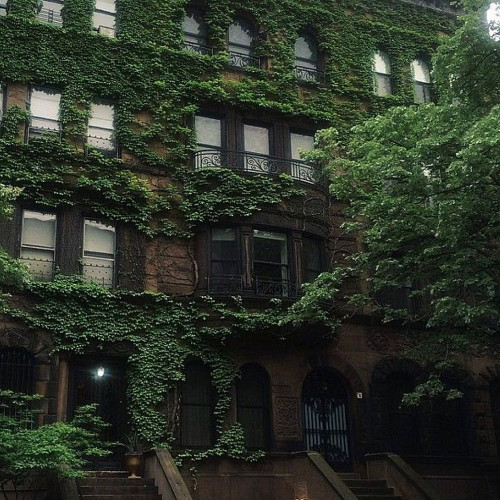 Инга Фомичёвa