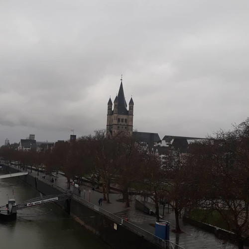 Людмила Цветковa