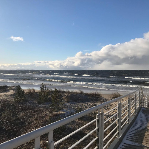 Раиса Власовa