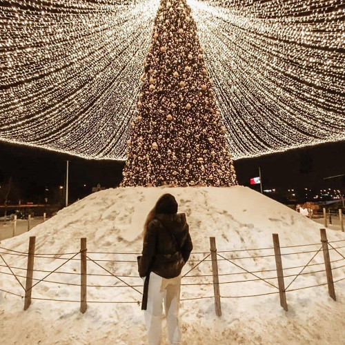 Ірина Шевченко