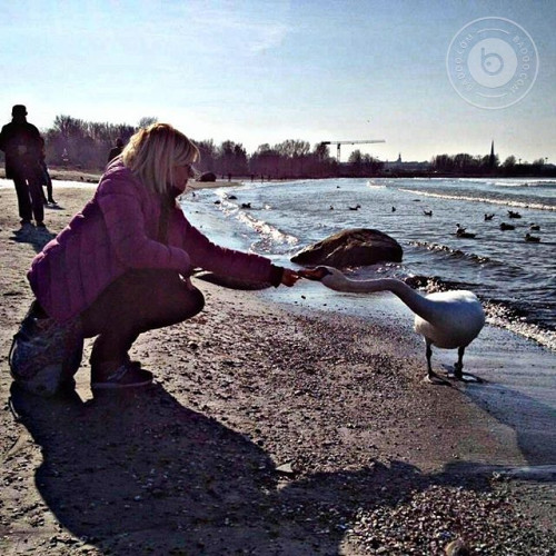 Нина Карповa