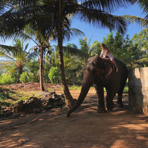 Анна Пономарчук