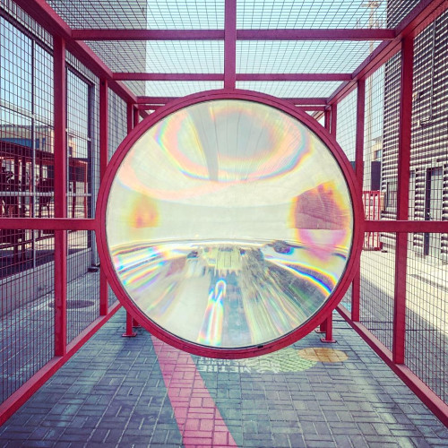 Инесса Самсоновa