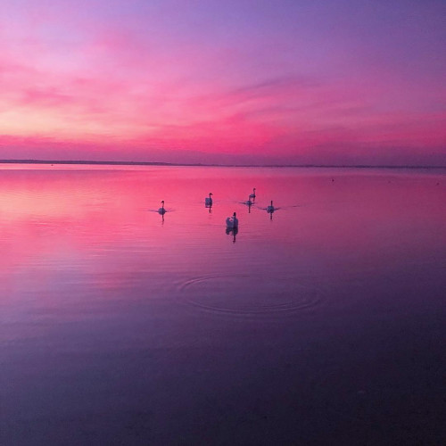 Зинаида Ларионовa